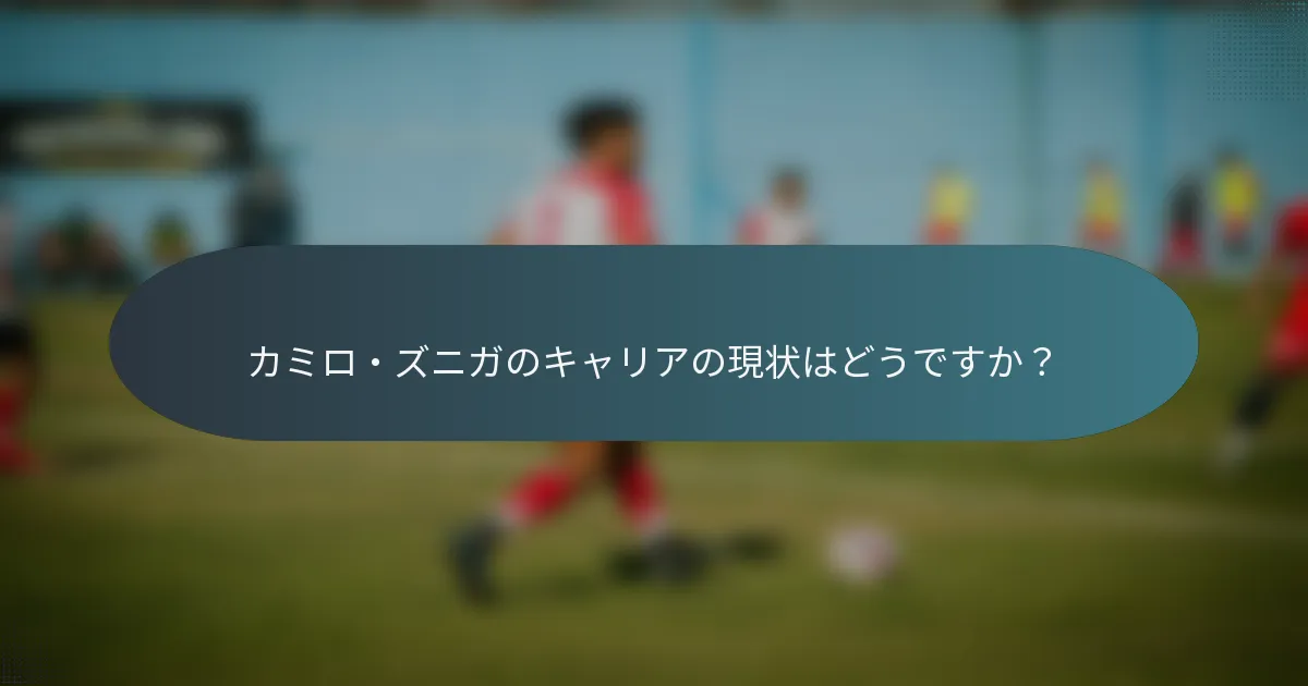 カミロ・ズニガのキャリアの現状はどうですか？